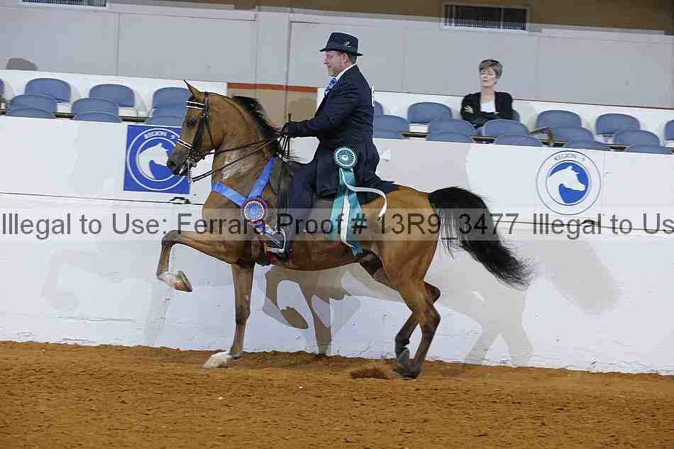 Proof 13r9_3477