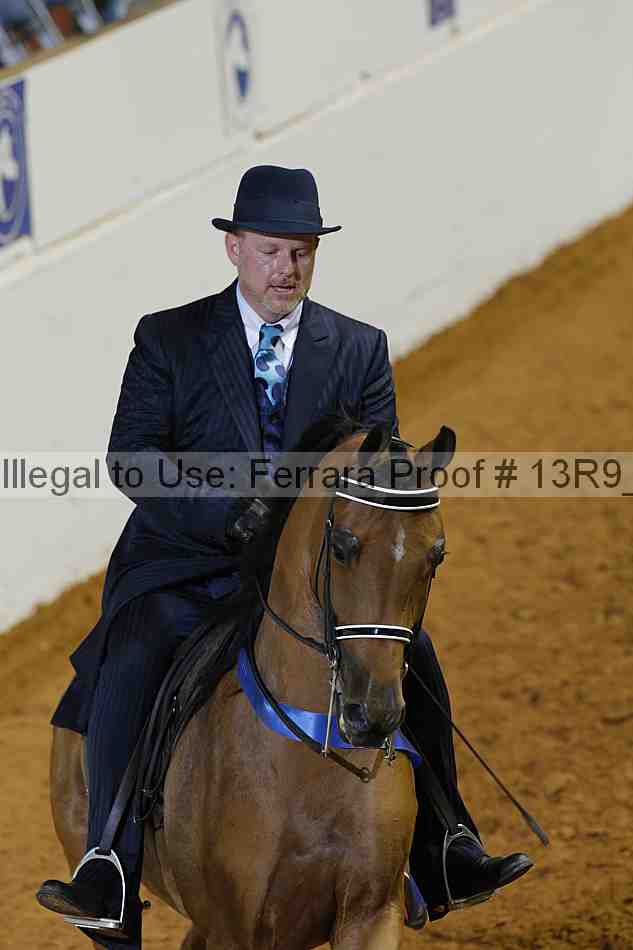 Proof 13r9_3480