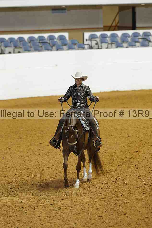 Proof 13r9_3488
