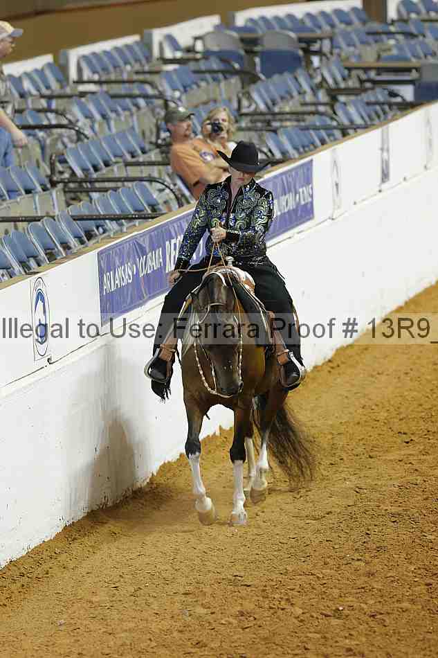 Proof 13r9_3490
