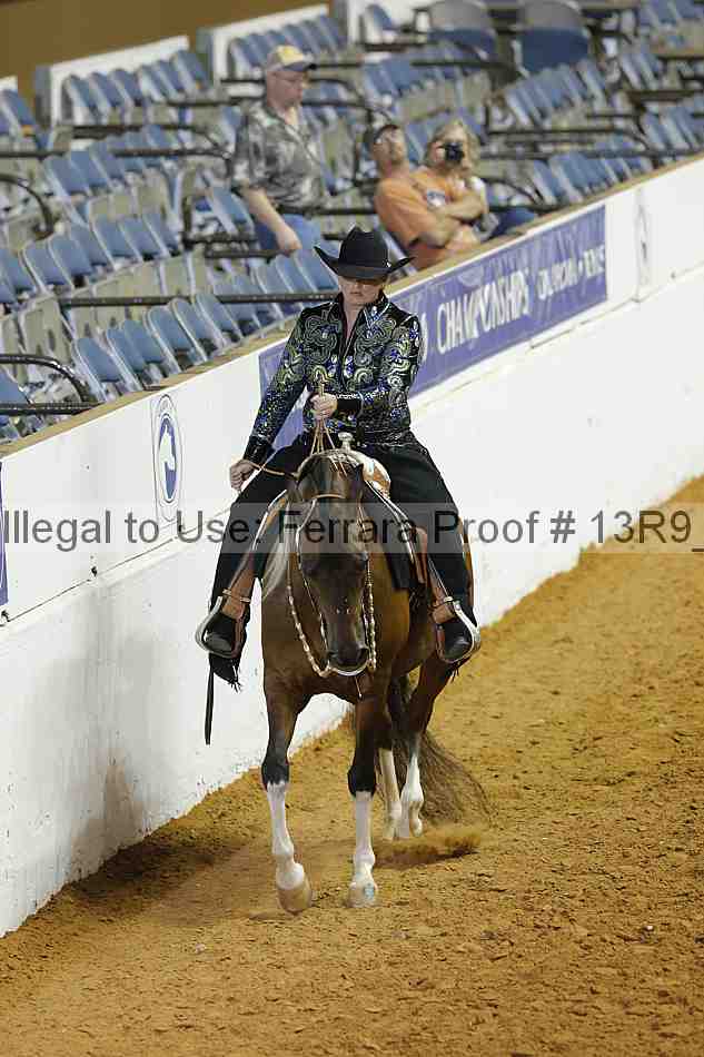 Proof 13r9_3491