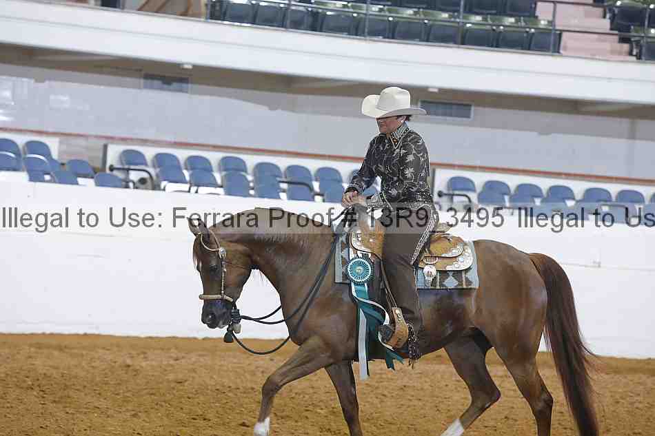 Proof 13r9_3495