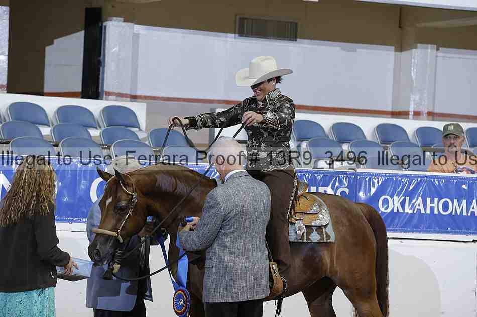 Proof 13r9_3496