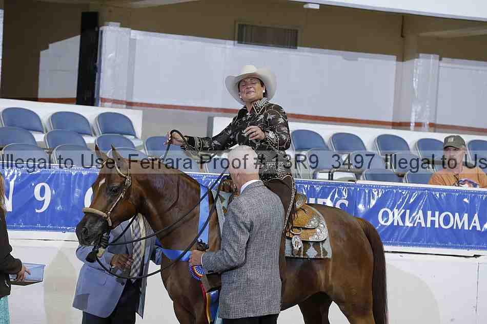 Proof 13r9_3497