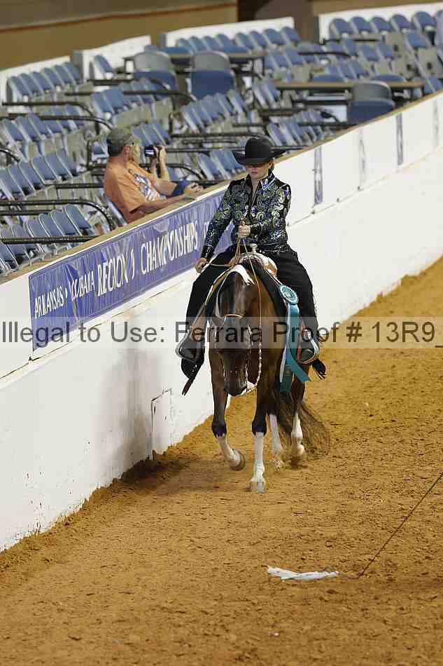 Proof 13r9_3504
