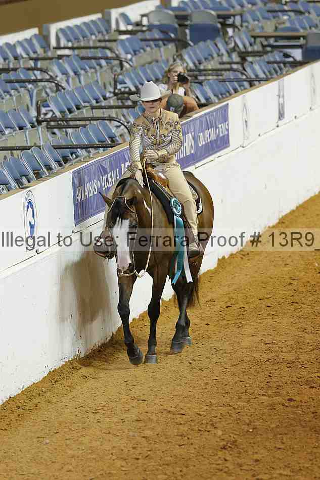 Proof 13r9_3507
