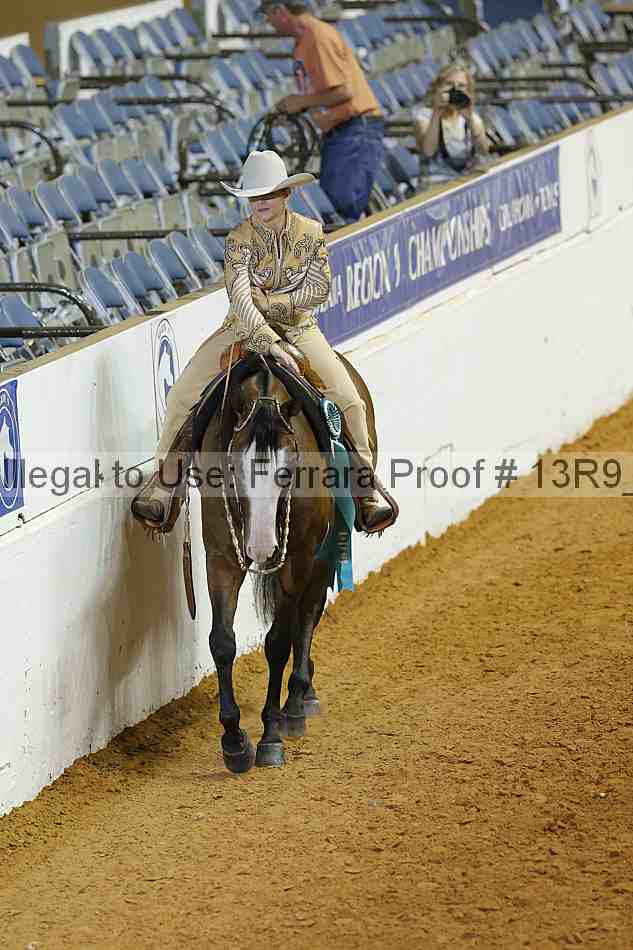 Proof 13r9_3508