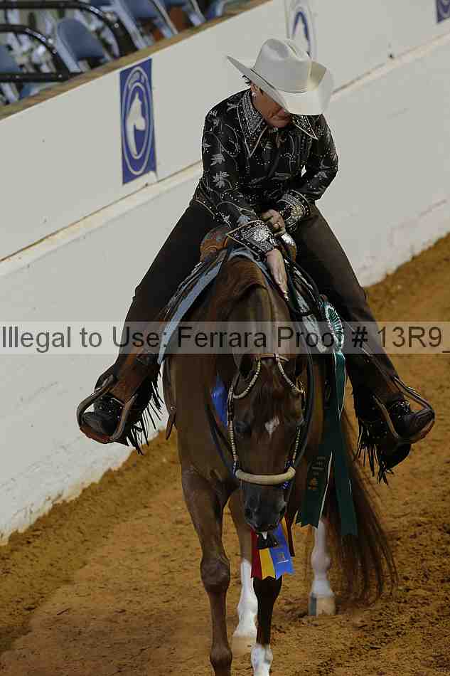 Proof 13r9_3516