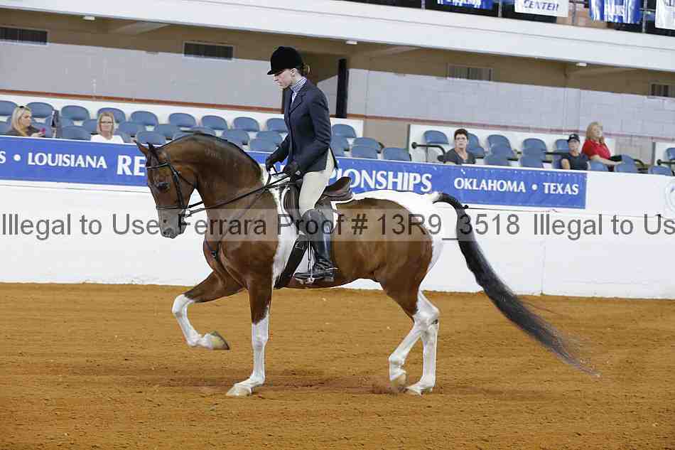 Proof 13r9_3518