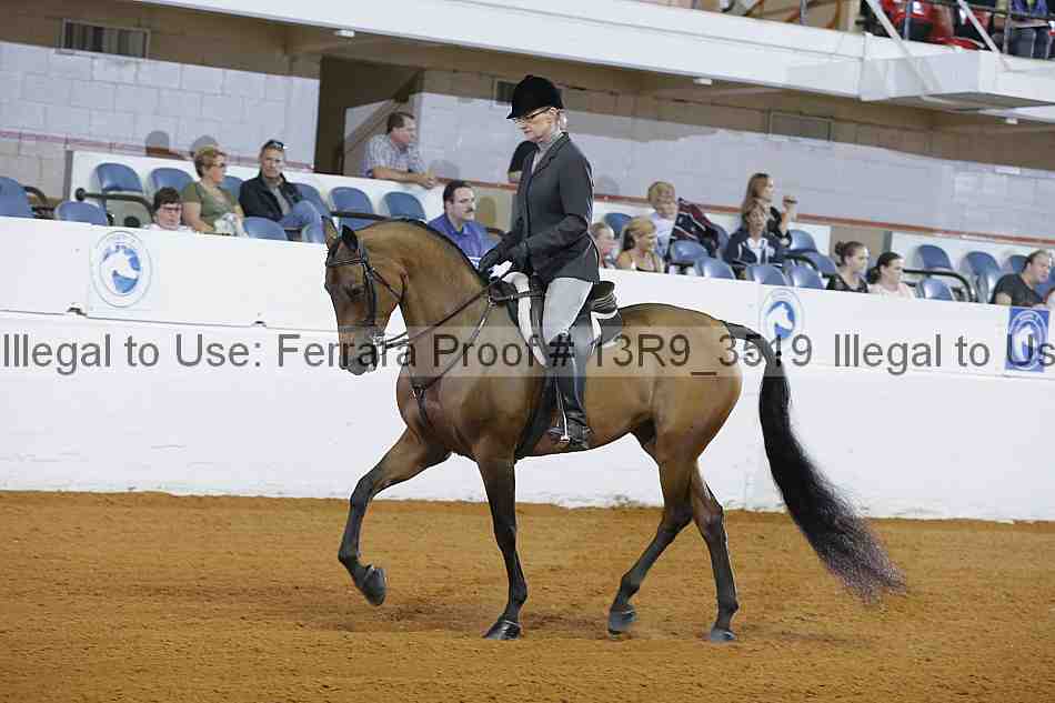 Proof 13r9_3519