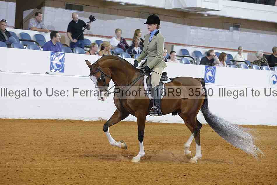 Proof 13r9_3520