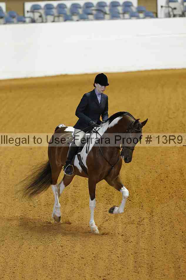 Proof 13r9_3523
