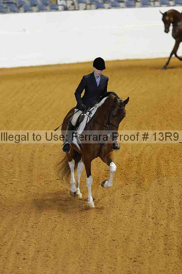 Proof 13r9_3529