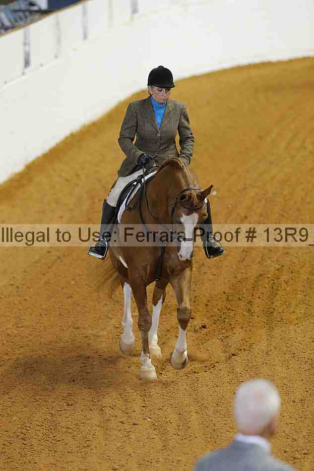 Proof 13r9_3530