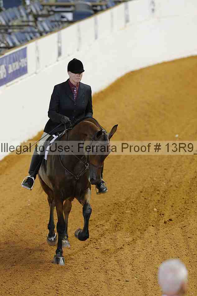 Proof 13r9_3532