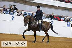 13r9_3533 proof