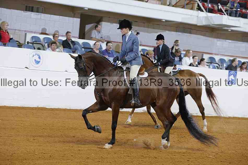 Proof 13r9_3536