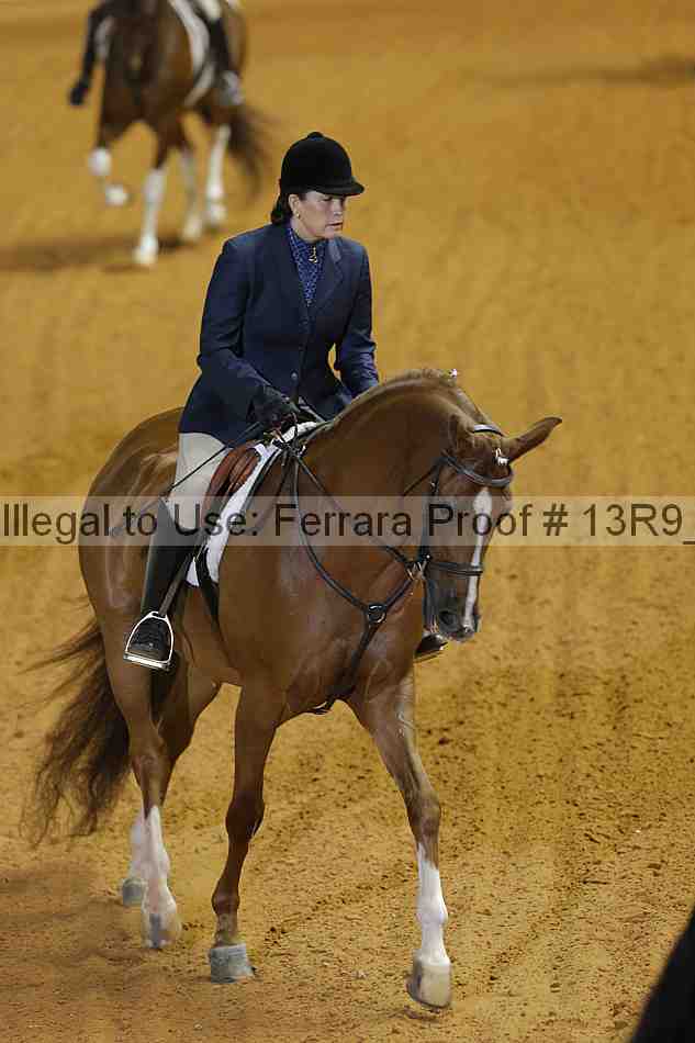 Proof 13r9_3537