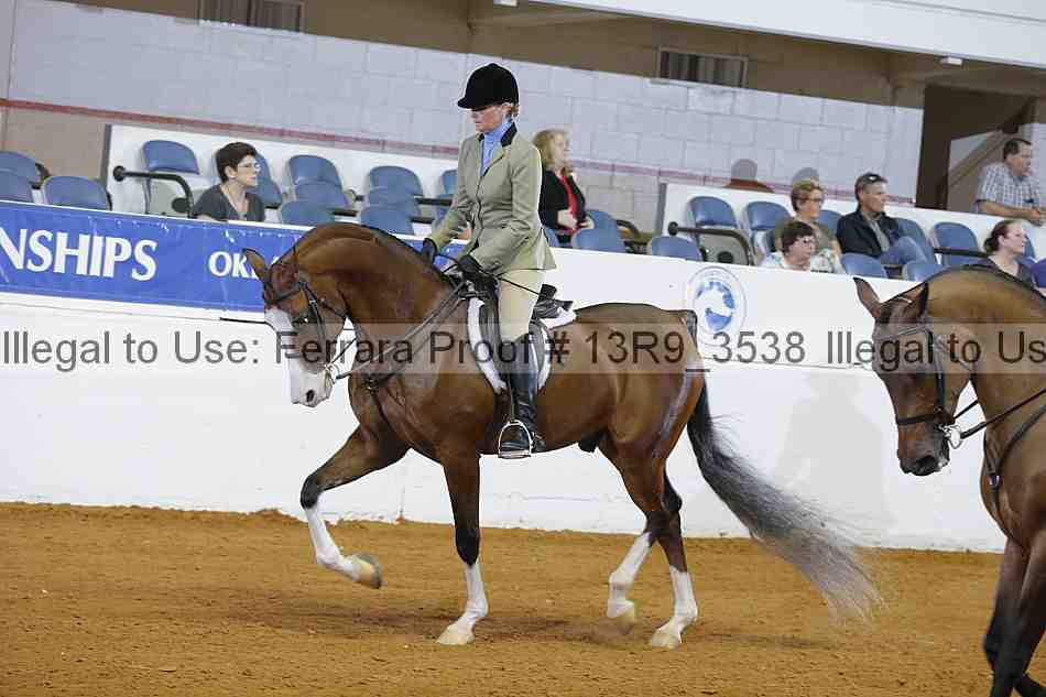 Proof 13r9_3538