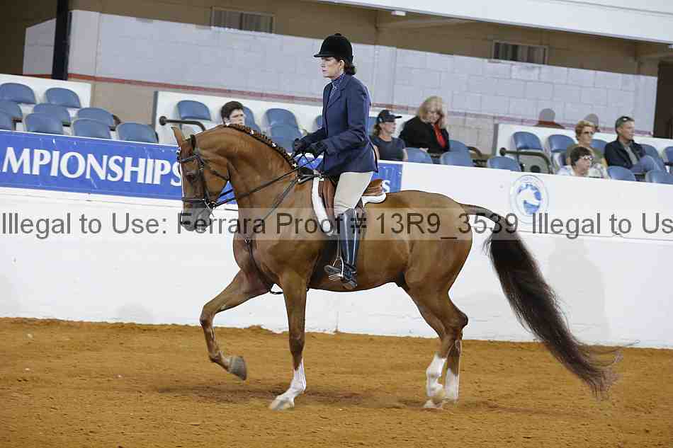 Proof 13r9_3539