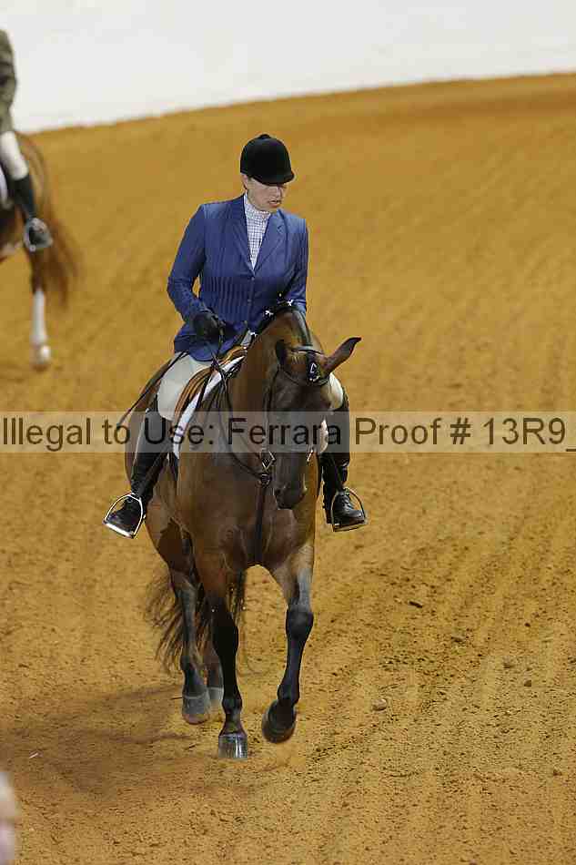 Proof 13r9_3541