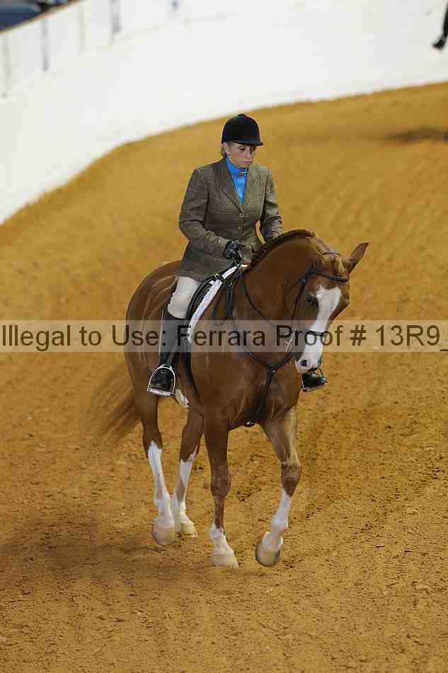 Proof 13r9_3542
