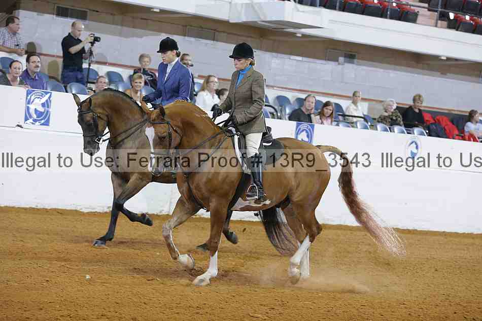 Proof 13r9_3543