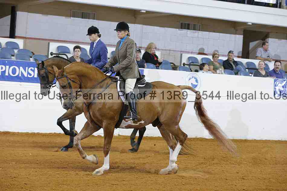 Proof 13r9_3544