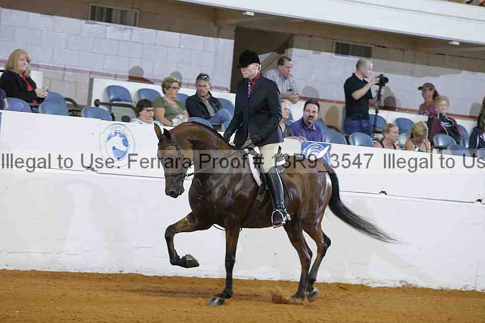 Proof 13r9_3547