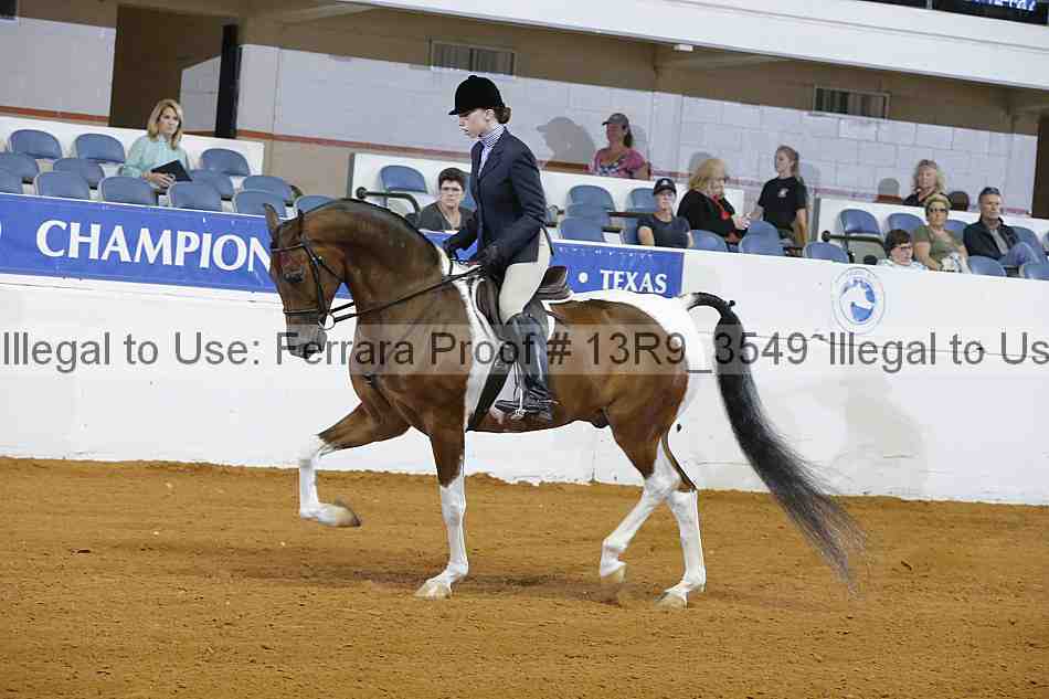 Proof 13r9_3549