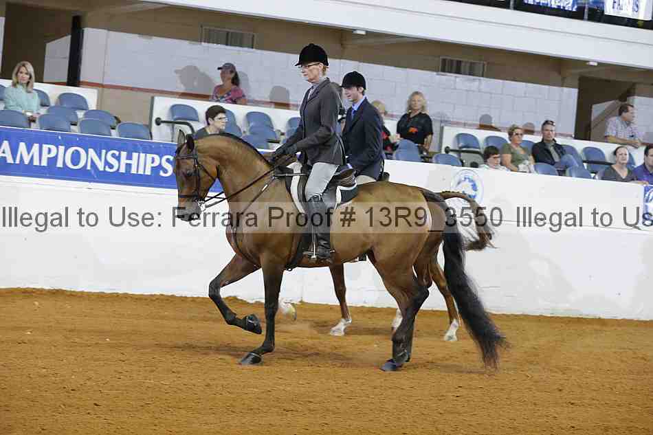 Proof 13r9_3550