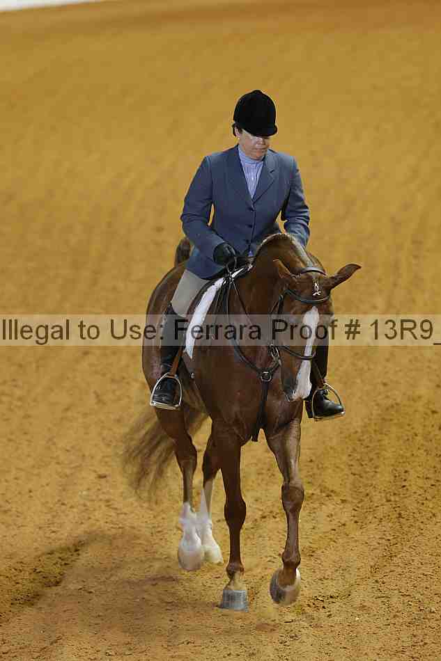 Proof 13r9_3551