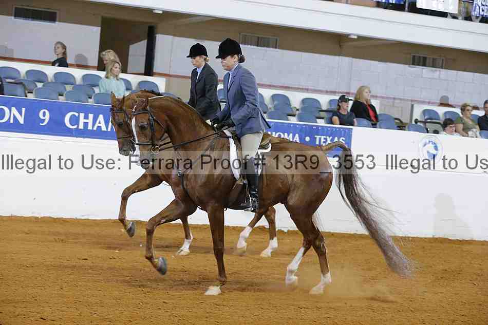Proof 13r9_3553