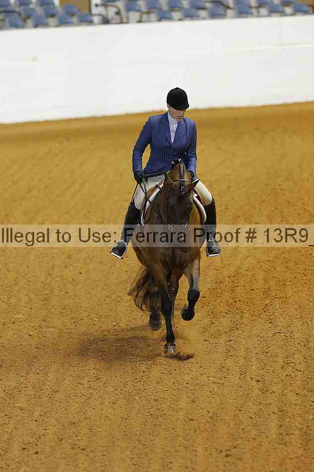 Proof 13r9_3554