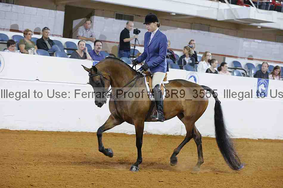 Proof 13r9_3555