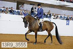 13r9_3555 proof