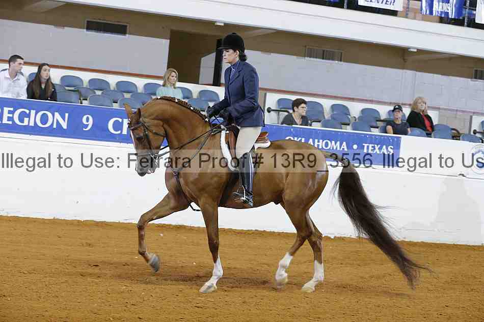 Proof 13r9_3556