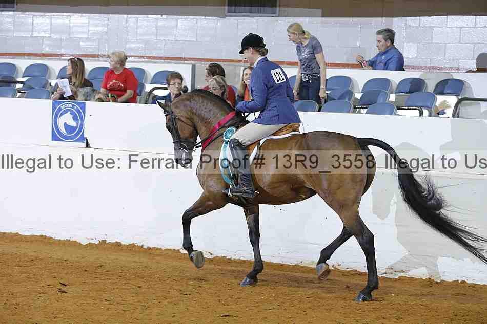 Proof 13r9_3558