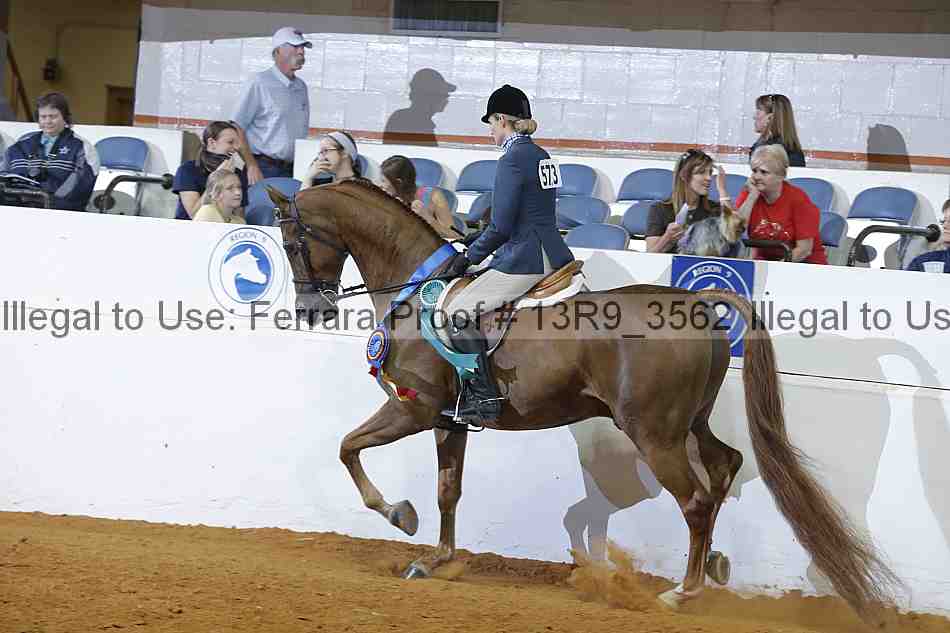 Proof 13r9_3562