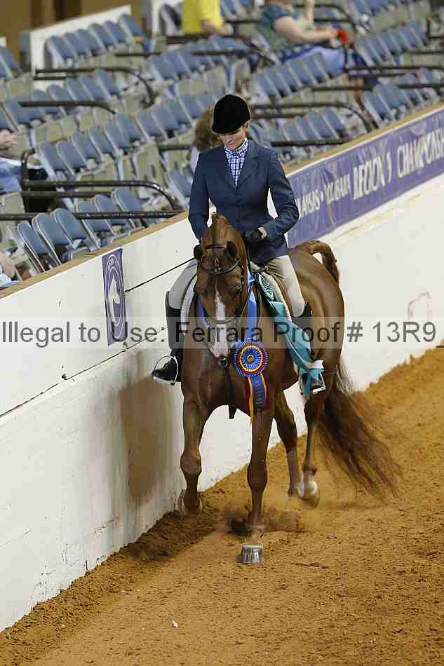 Proof 13r9_3563