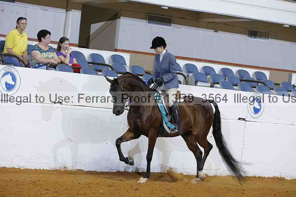 Proof 13r9_3564