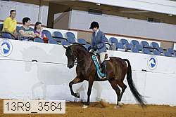 13r9_3564 proof