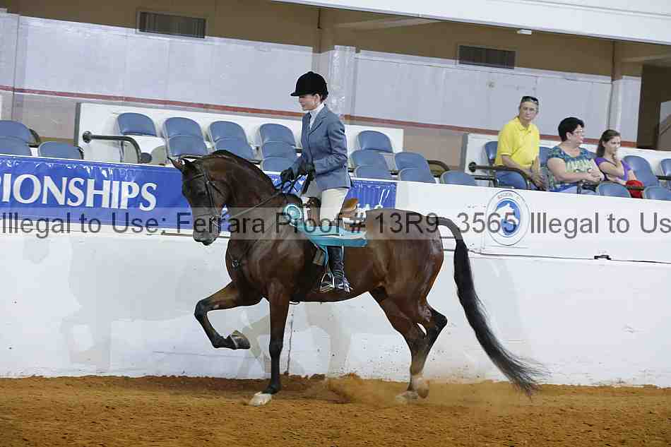 Proof 13r9_3565