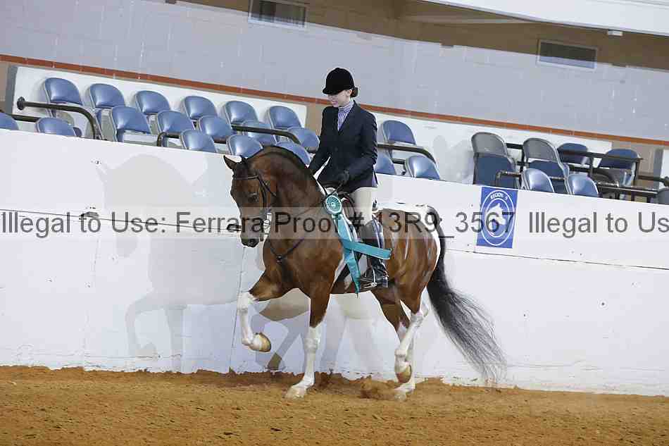 Proof 13r9_3567