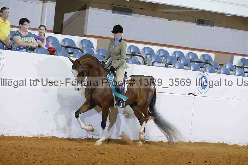 Proof 13r9_3569