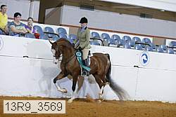 13r9_3569 proof