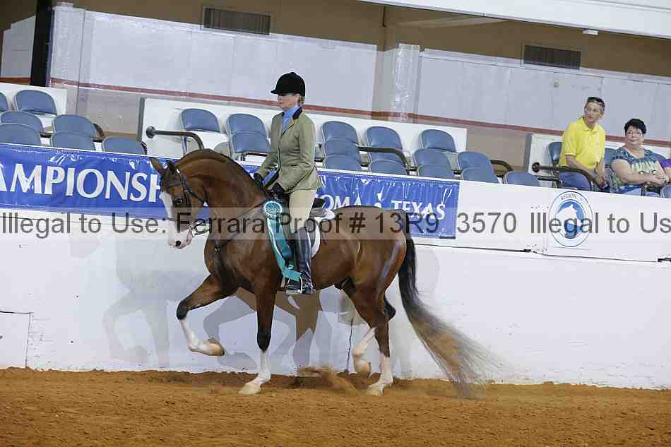 Proof 13r9_3570