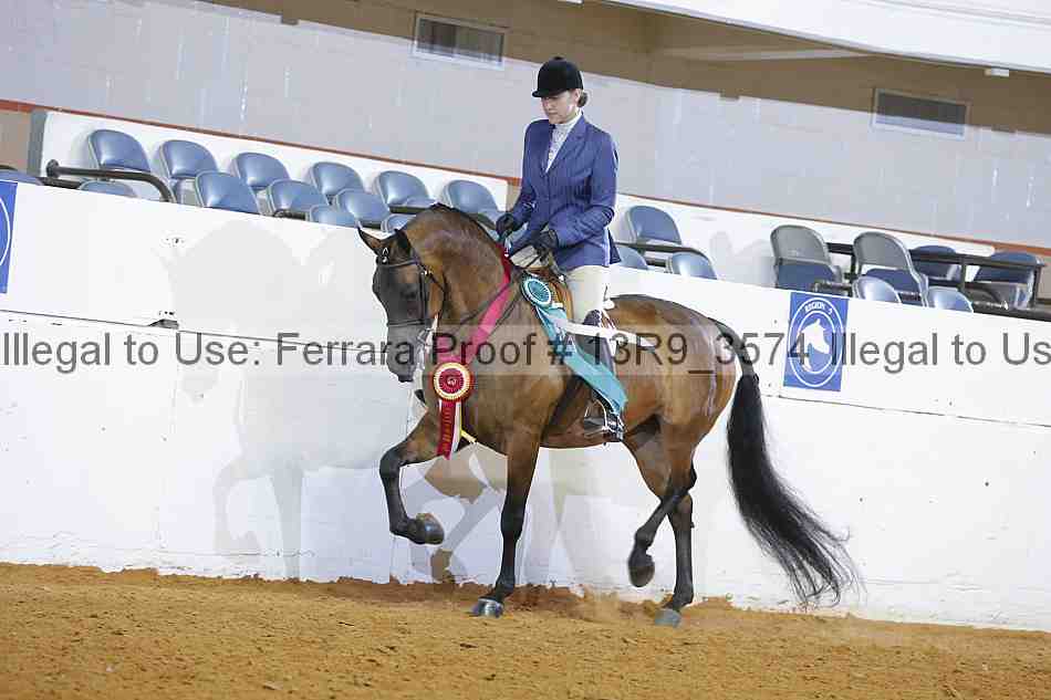 Proof 13r9_3574