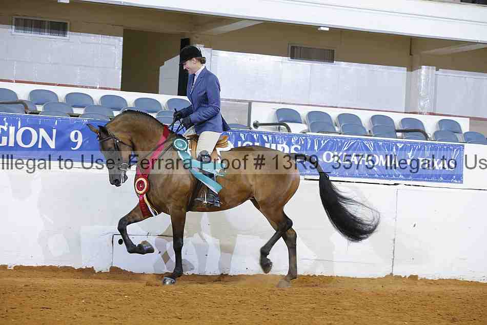 Proof 13r9_3575