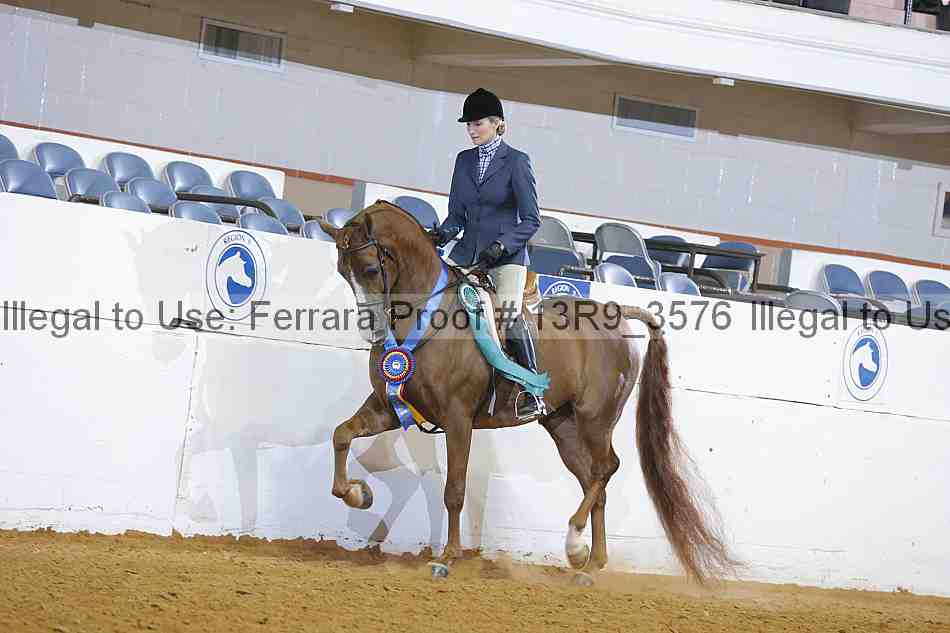 Proof 13r9_3576